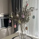 Yacht Appartement Medulin
